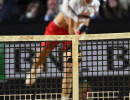 Jerry VS Paul Foto Gobbi GMT 24