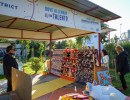 DSC03658 DSC03658