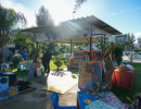 DSC03665 DSC03665