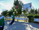 DSC03694 DSC03694