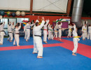 DSC03891 DSC03891