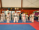 DSC03933 DSC03933