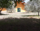 Foto 1_Isernia