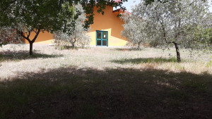Foto 1_Isernia