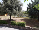 Foto 2_Isernia