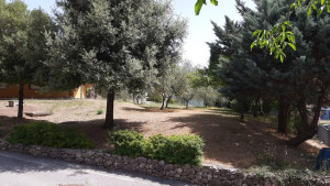 Foto 2_Isernia