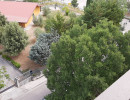 Foto 3_Isernia