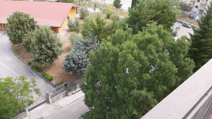 Foto 3_Isernia