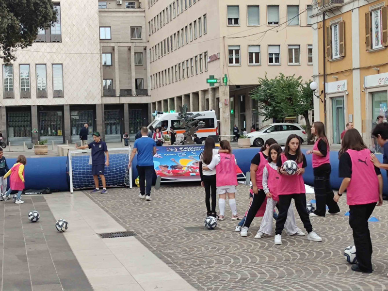 calabria ses calabria ses