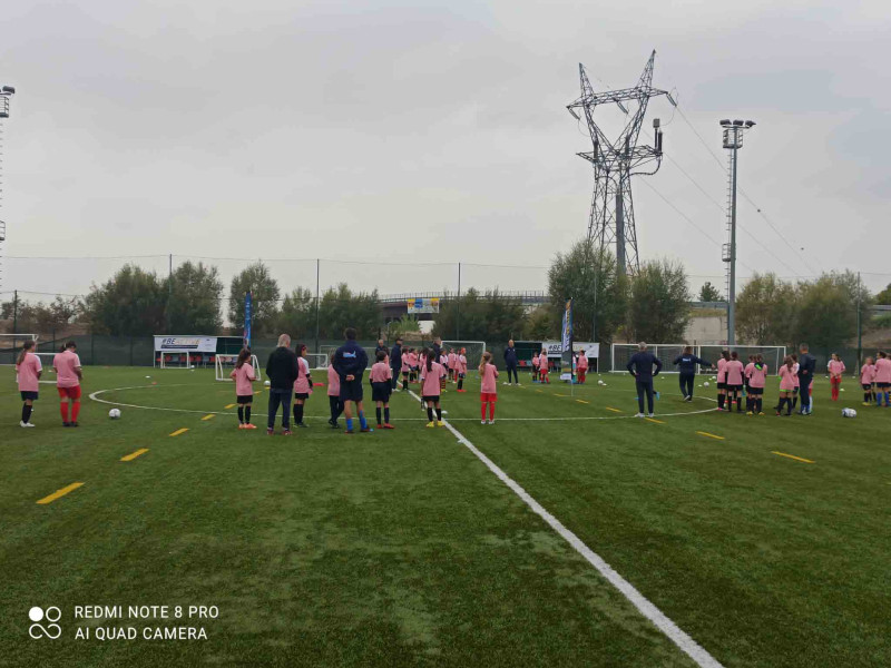 play days mi play days mi