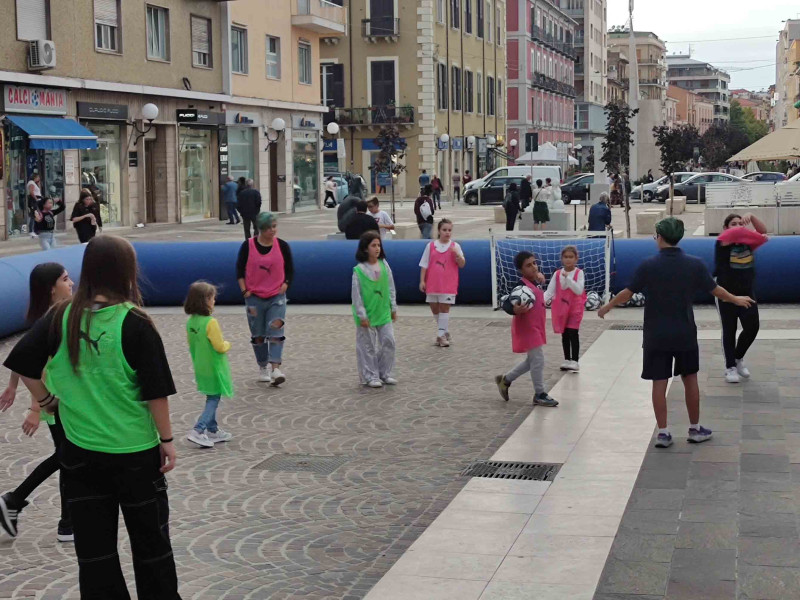 ses calabria ses calabria