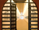 tunnelchamp