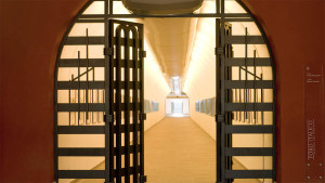 tunnelchamp tunnelchamp