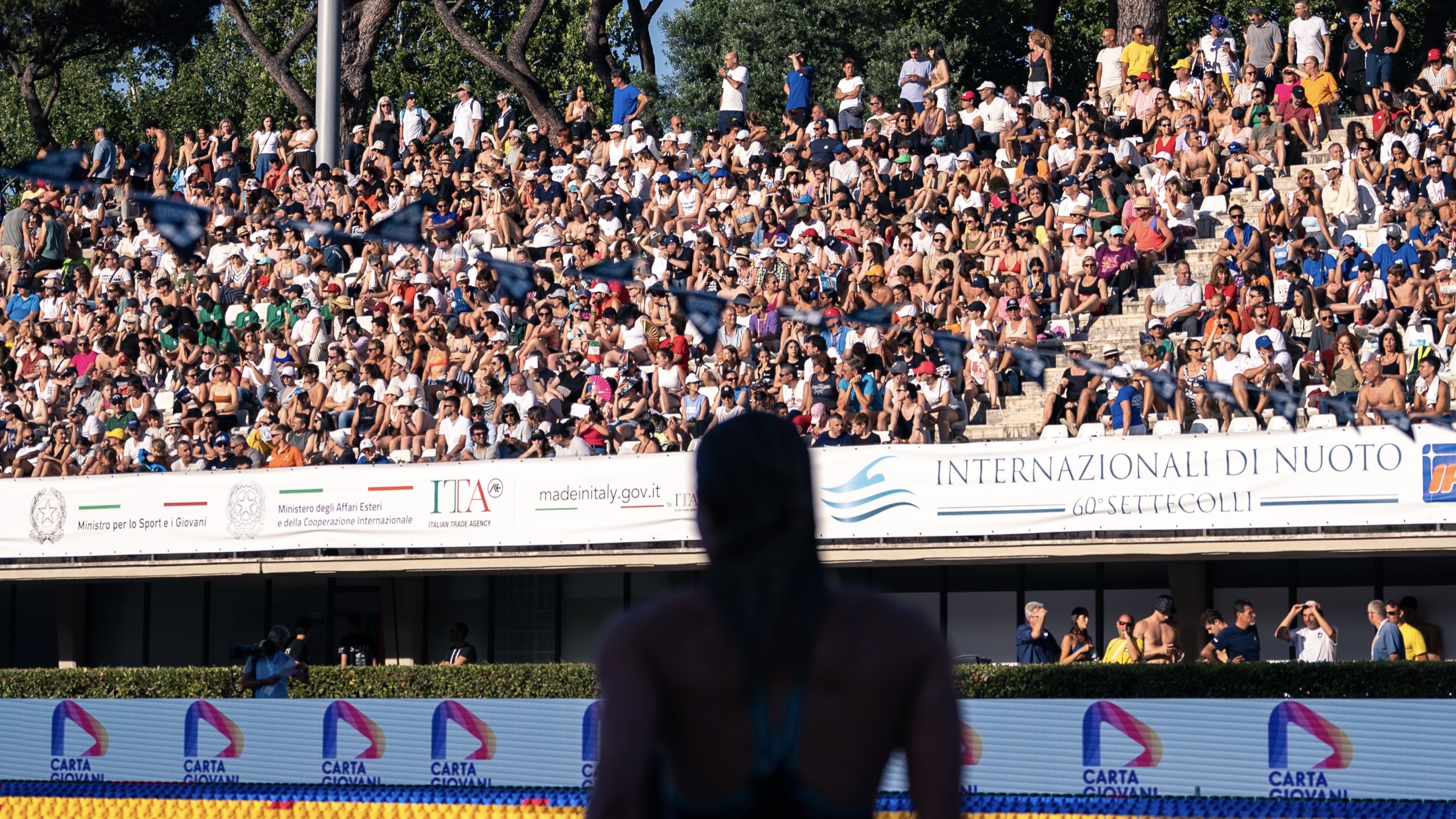 settecolli pubblico 1
